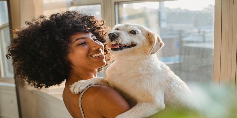 A person holding a dog

Description automatically generated